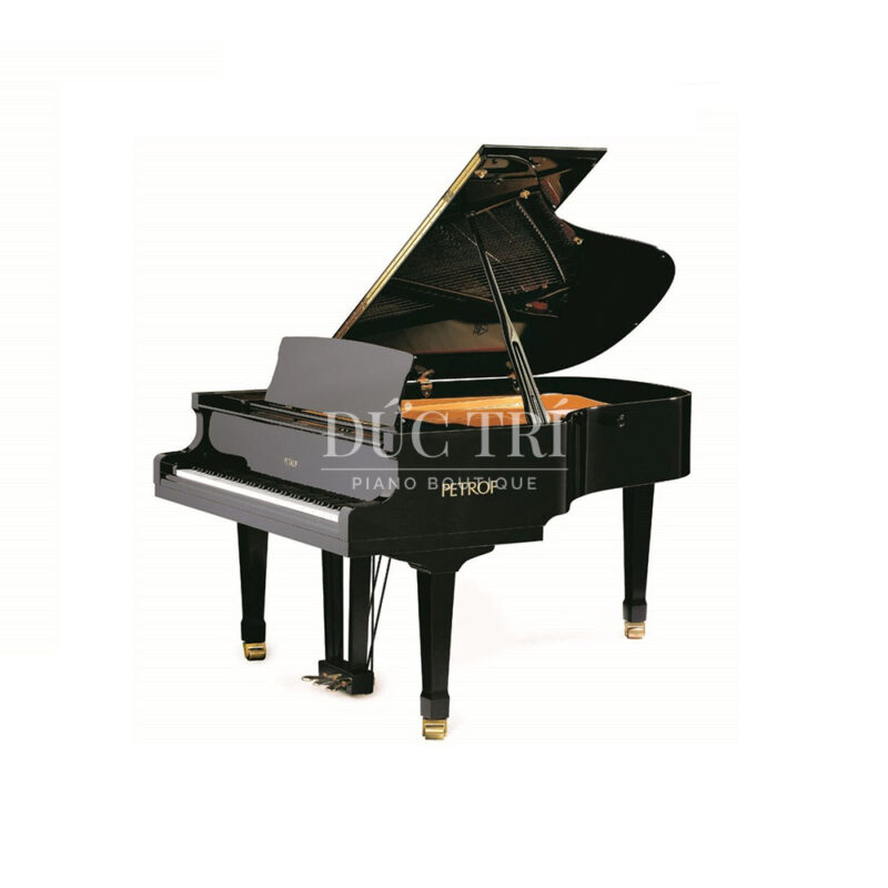 Grand Piano Petrof P194 Storm
