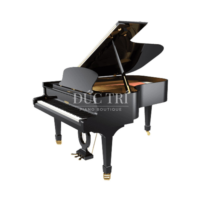Grand Piano Pleyel F190 Piano Đức Trí