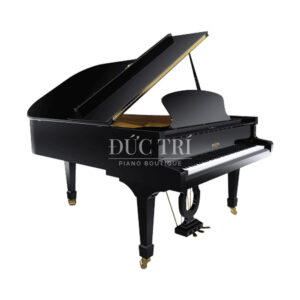 Grand Piano Pleyel F190 Piano Đức Trí