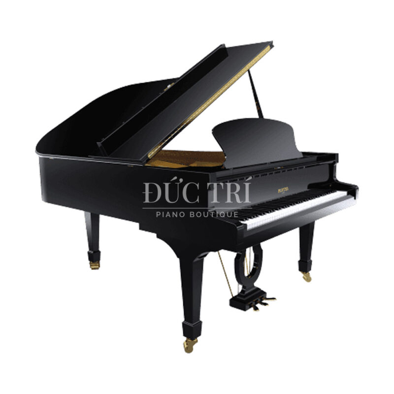 Grand Piano Pleyel F190 Piano Đức Trí