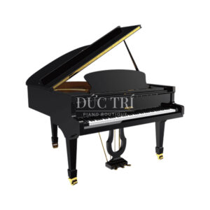 Đàn Grand Piano Pleyel F170 tại Piano Đức Trí đen bóng