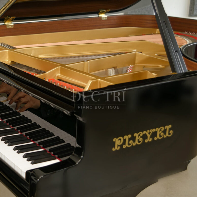 Logo bên cạnh đàn Pleyel-F190