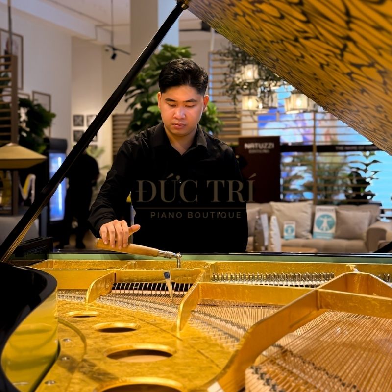 Kỹ thuật viên sửa đàn tại Đức Trí Piano Boutique