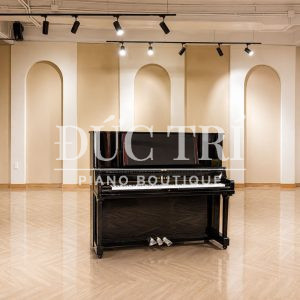 Mặt trước đàn Yamaha YUS5