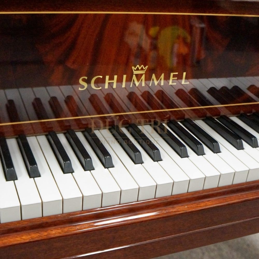 Schimmel