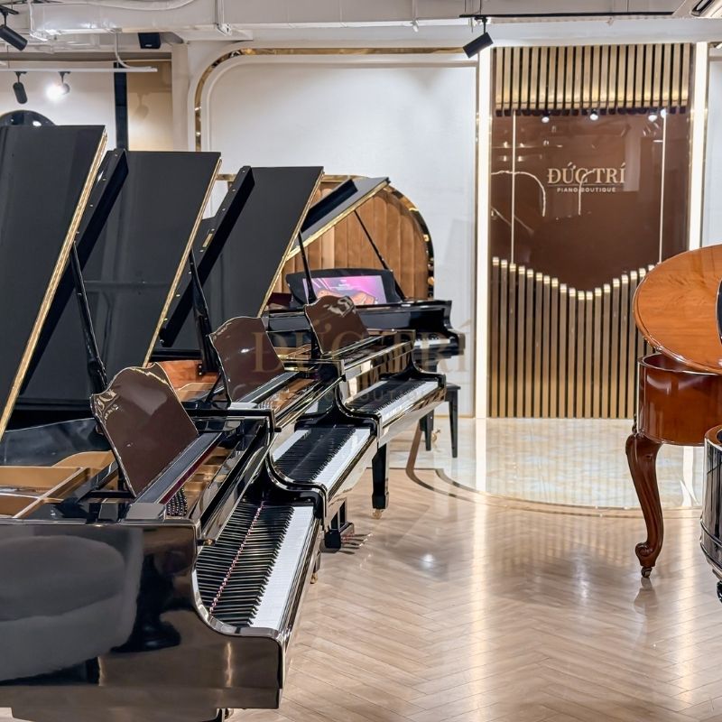 Showroom đàn piano cao cấp