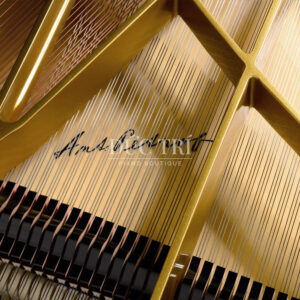 Soundboard ant petrof 275