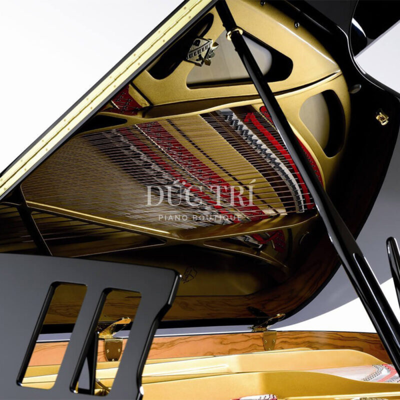 Thùng đàn ant petrof 275