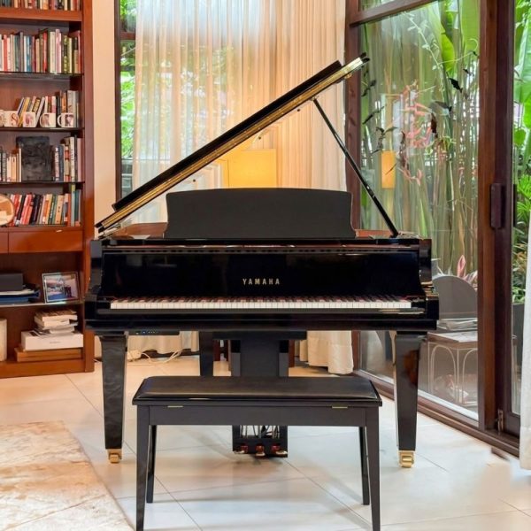 Yamaha DC2X Disklavier
