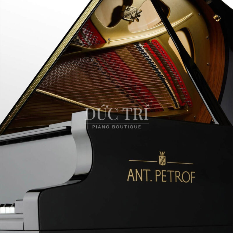 Đàn Grand Piano Ant Petrof 225 Đức Trí Piano Boutique