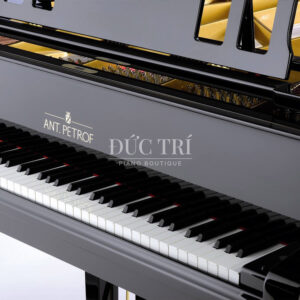 nắp đàn ant petrof 275