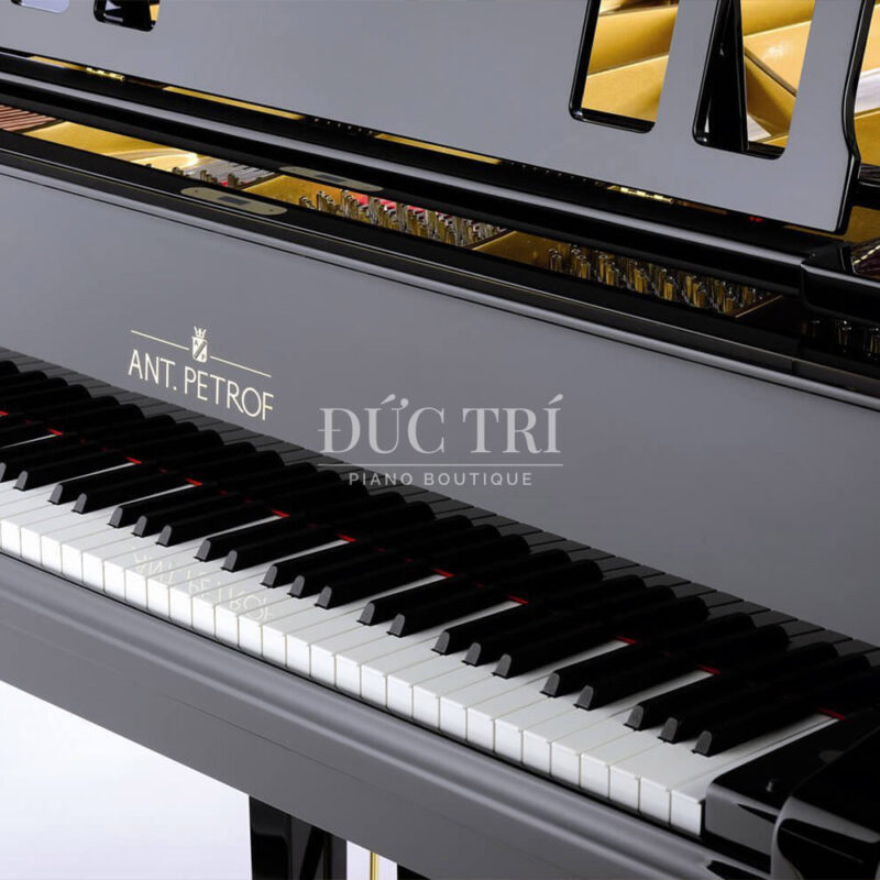 nắp đàn ant petrof 275