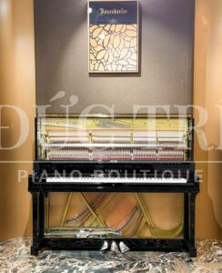 toàn bộ hình ảnh bên trong đàn Yamaha YUS5