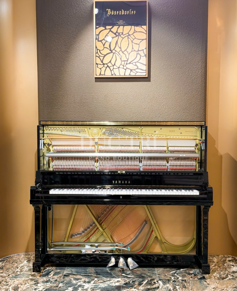 toan bo hinh anh ben trong dan Yamaha YUS5 Custom Yamaha YUS5 toàn bộ hình ảnh bên trong đàn Yamaha YUS5