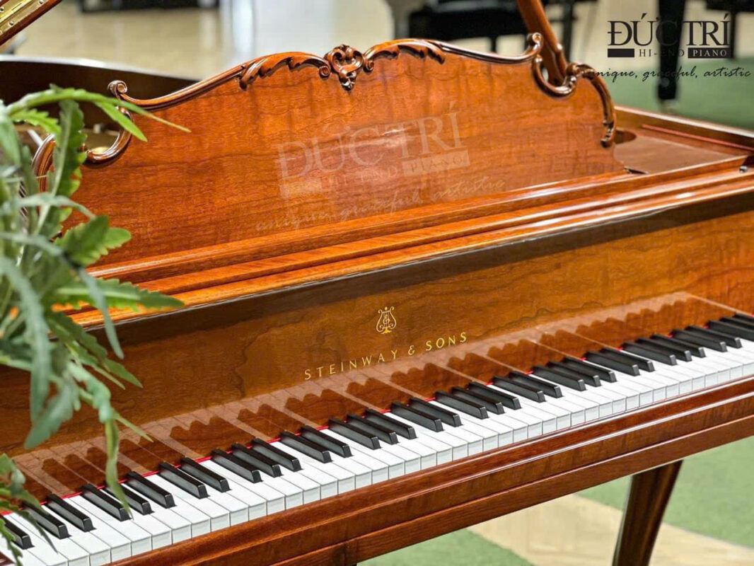 Phím đàn Piano Steinway Louis