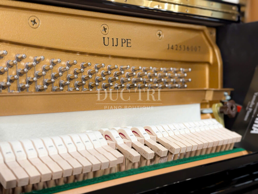 Bua dan Yamaha U1JPE So sánh Yamaha P121 và Yamaha U1 Yamaha U1J có bộ máy linh hoạt