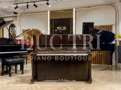 Đàn piano Yamaha W110BĐê