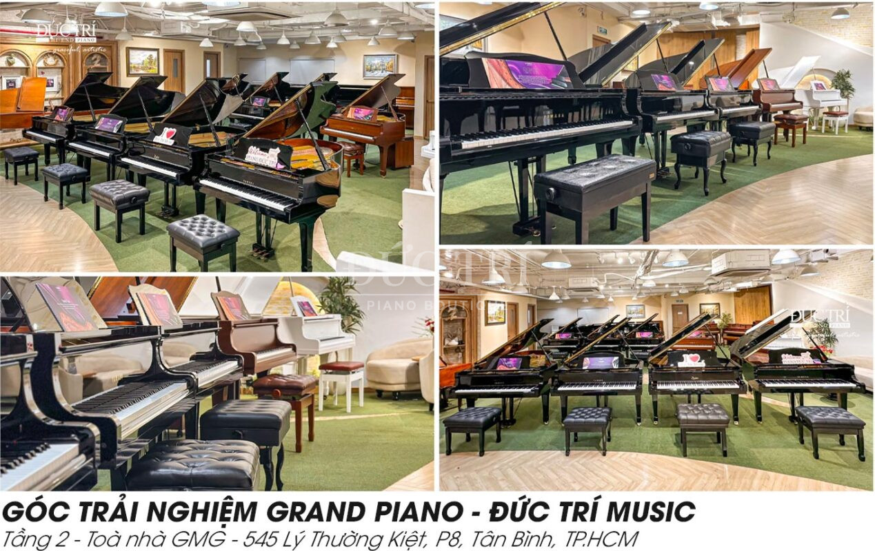 Đàn Piano Hybrid sự giao thoa hoàn hảo giữa truyền thống và công nghệ 16 Showroom Đức Trí Piano Boutique