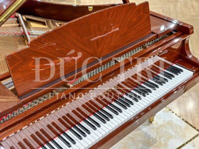 Bàn phím đàn Grand Piano Essex EGP155 Piano Đức Trí