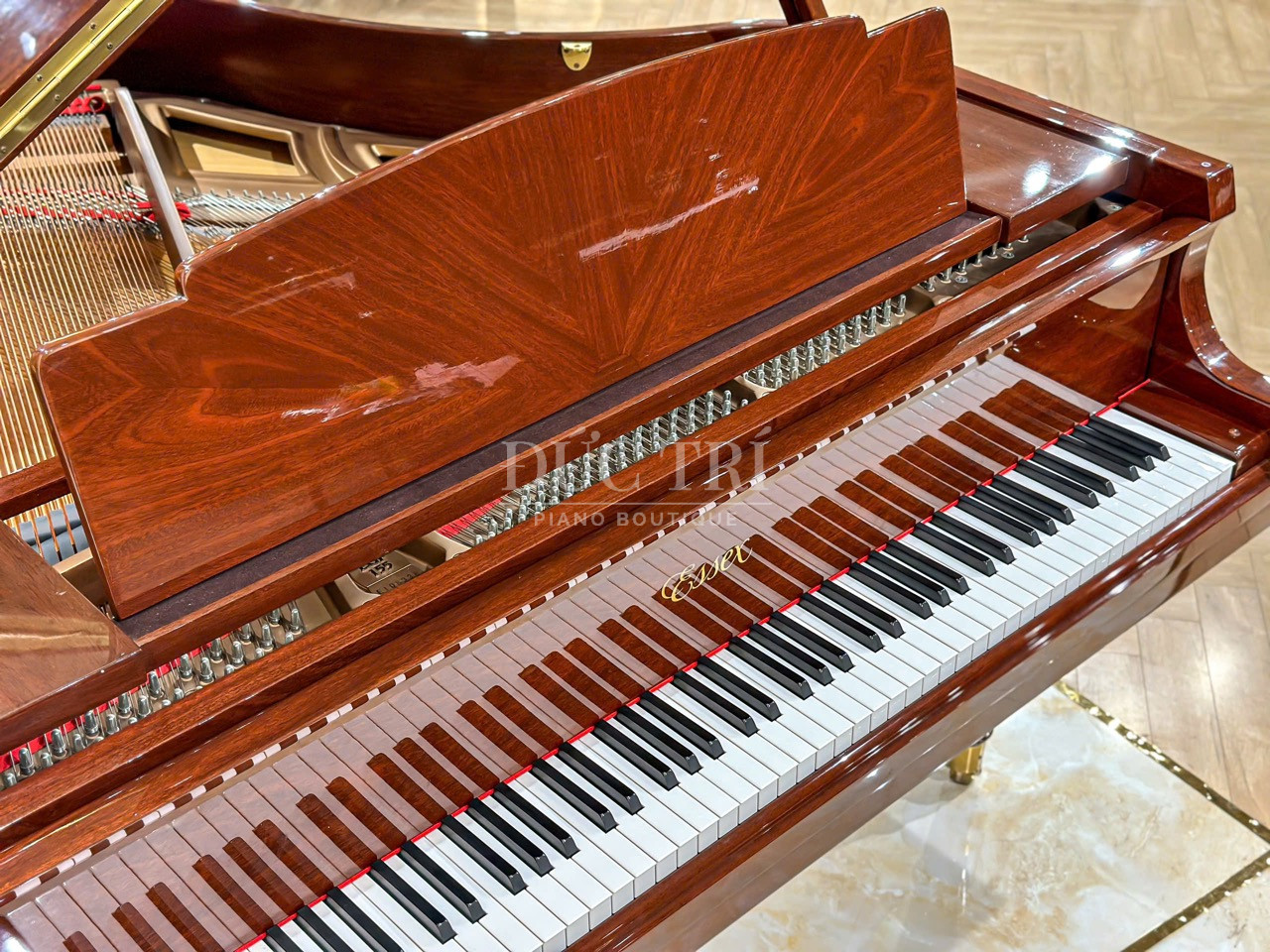 Ban phim dan Grand Piano Essex EGP155 Piano Duc Tri Essex EGP155 Bàn phím đàn Grand Piano Essex EGP155 Piano Đức Trí