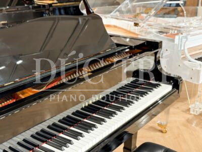 Bàn phím đàn Yamaha C3L