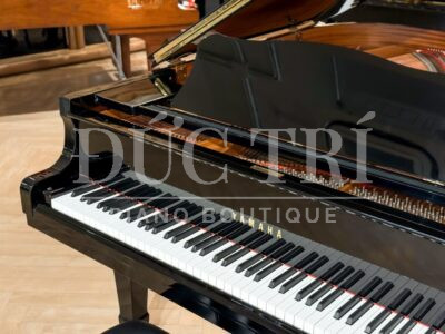 Bàn phím và logo đàn Yamaha C3L