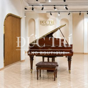 Đàn Essex EGP155 đưuọc trưng bày tại Đức Trí Piano Boutique