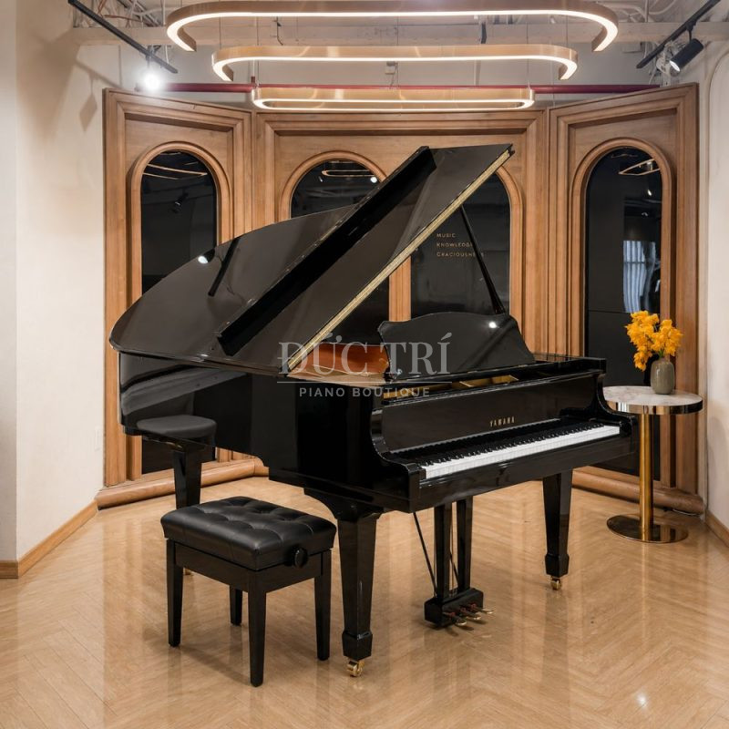 Đàn Yamaha C3L mở nắp thùng đàn trong showroom Đức Trí