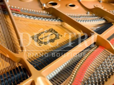 Dây đàn piano Yamaha C3L