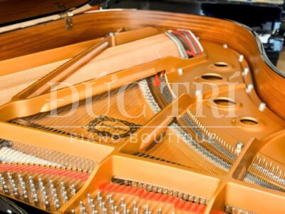 Dây đàn và bộ máy đàn piano Yamaha C3L