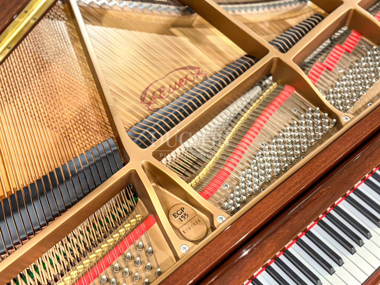 Khung dan Grand Piano Essex EGP155 Piano Duc Tri Essex EGP155 Khung đàn Grand Piano Essex EGP155 Piano Đức Trí