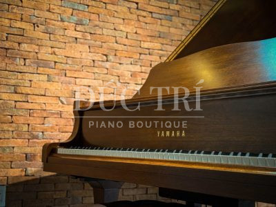 Logo Yamaha trên Yamaha G3B Walnut