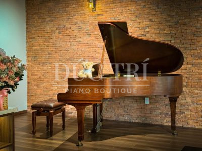 Màu sắc trên đàn Yamaha G3B Walnut