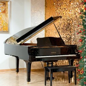 Phía trước của đàn Yamaha C5E super