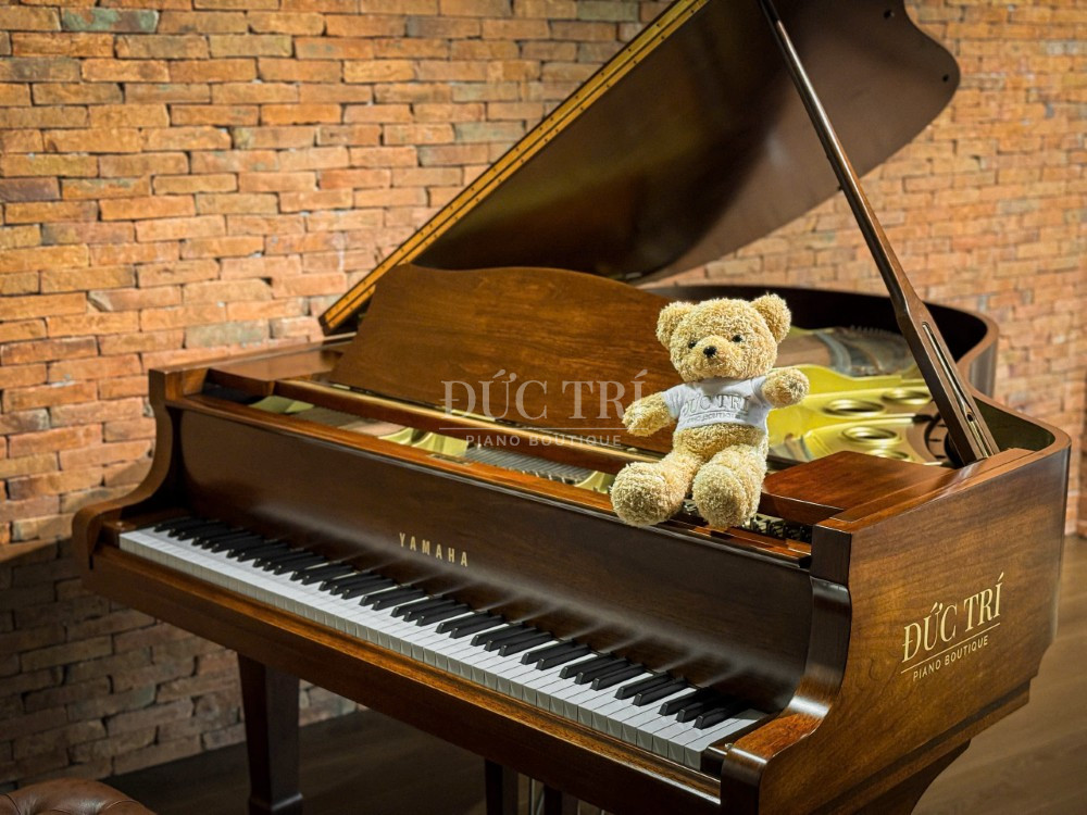 Phim dan tren dan Yamaha G3B Walnut Yamaha G3B WN Phím đàn trên đàn Yamaha G3B Walnut