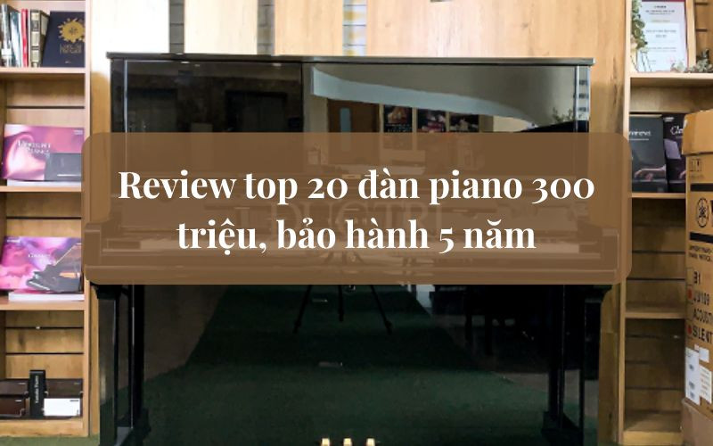 Review top 20 đàn piano 300 triệu nên sở hữu, bảo hành 5 năm