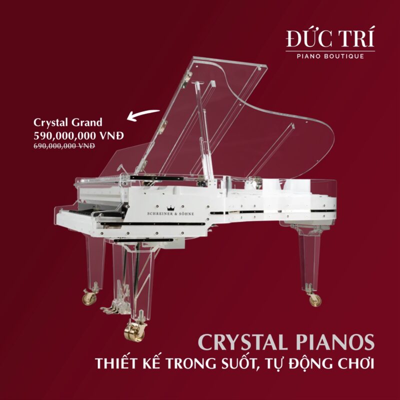 MOre than A Gift 2026 - Món quà cho hiện tại, giá trị cho tương lai 3 more than a gift 02 lon