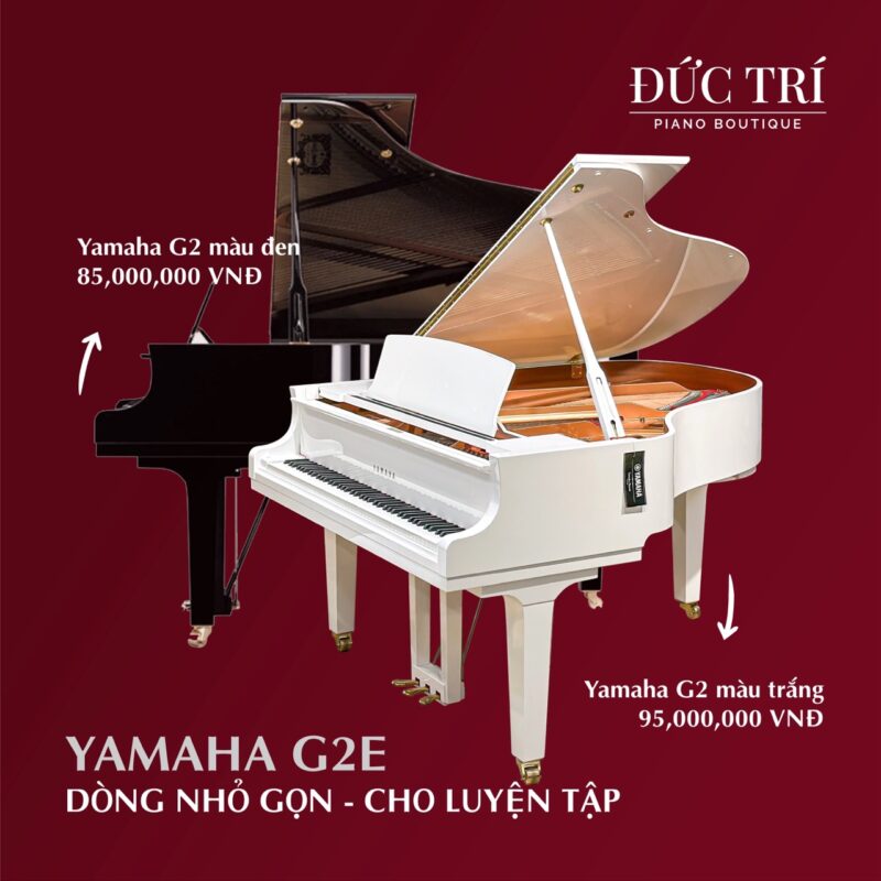 MOre than A Gift 2026 - Món quà cho hiện tại, giá trị cho tương lai 2 more than a gift 03 lon