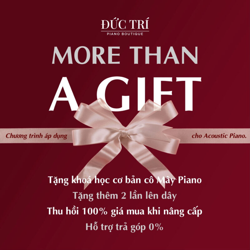 MOre than A Gift 2026 - Món quà cho hiện tại, giá trị cho tương lai 1 more than a gift piano đức trí