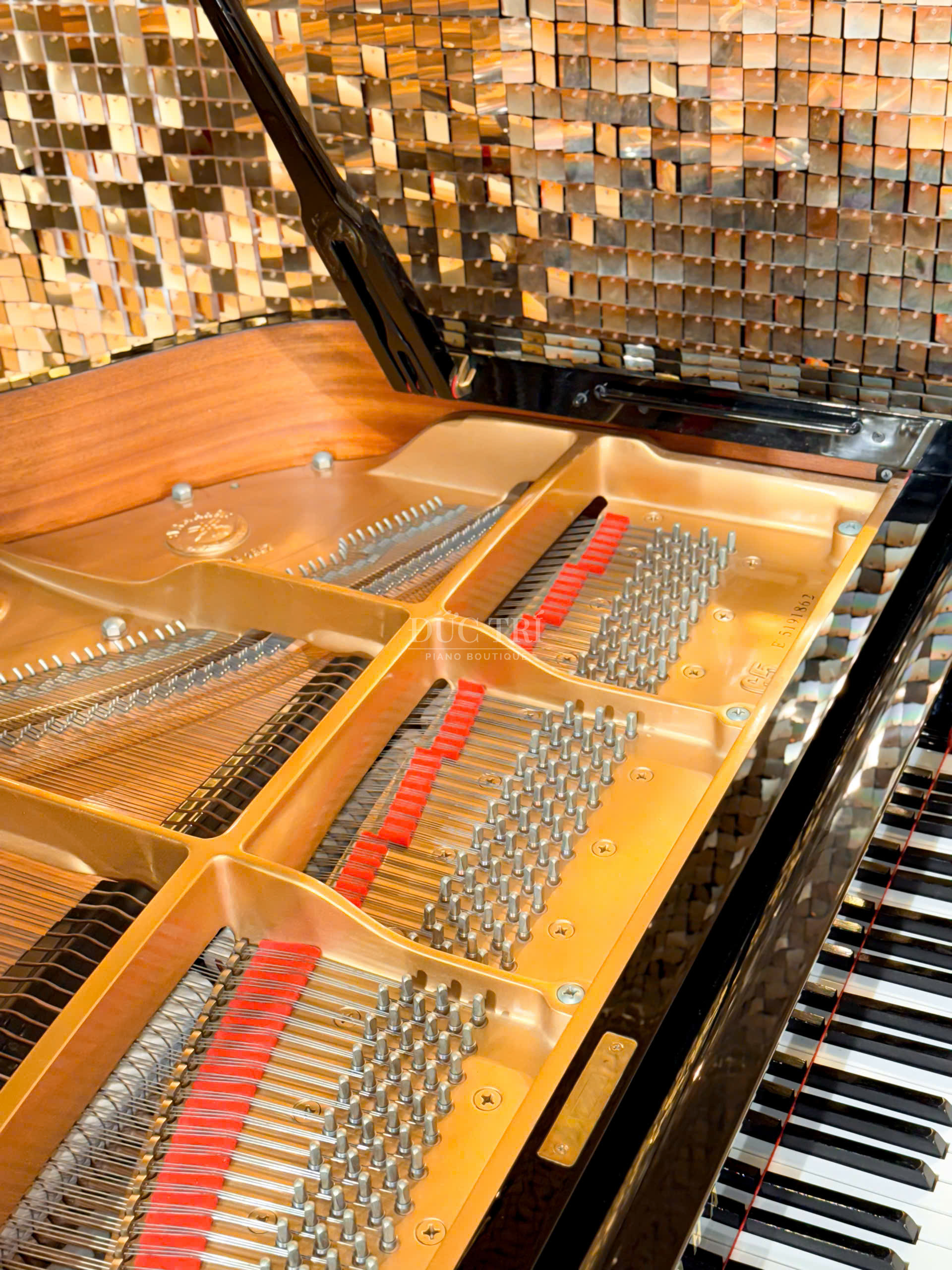 Yamaha C5E Super 2 Cảm giác phím nhạy bén và chất lượng âm thanh cân bằng hoàn hảo