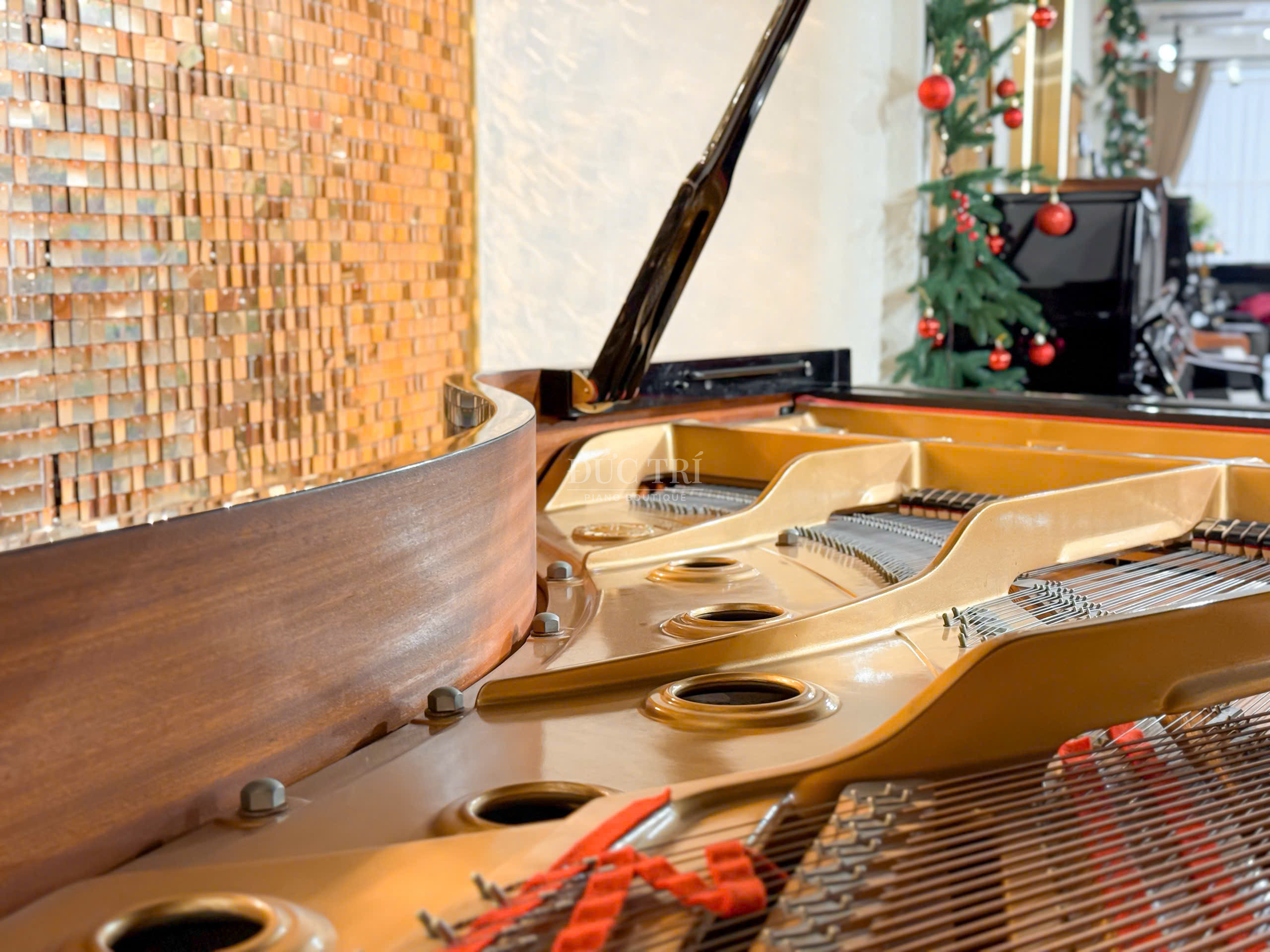 Yamaha C5E Super 3 Yamaha C5E Super Kích thước mở rộng 211cm