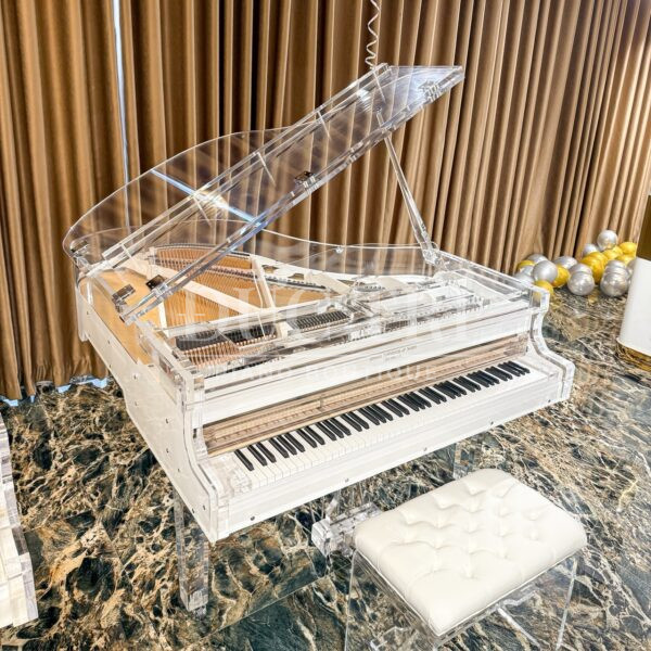 Đàn Piano Trong Suốt Jason Sabreen & Sons 2