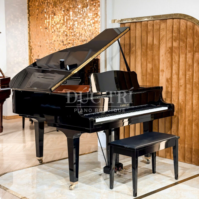 Dan Piano Grand Yamaha GB1 PE 5 So sánh đàn piano Yamaha và Bösendorfer Đàn Piano Grand Yamaha GB1 PE 5