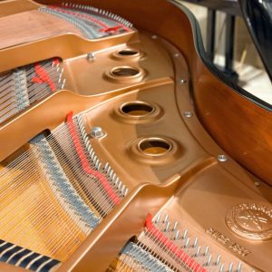 Dây đàn trên đàn Yamaha GB1K