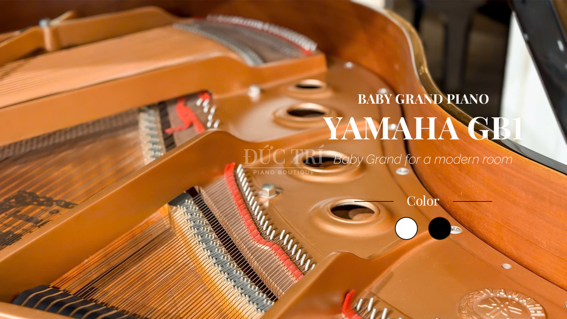 Khung dan Yamaha GB1 Yamaha GB1 Khung kim loại và vành đàn Yamaha GB1 được xử lý tỉ mỉ nhằm gia tăng độ vang