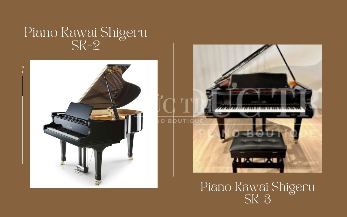 So sánh Kawai Shigeru SK-2 và Shigeru SK-3, nên chọn đàn nào?