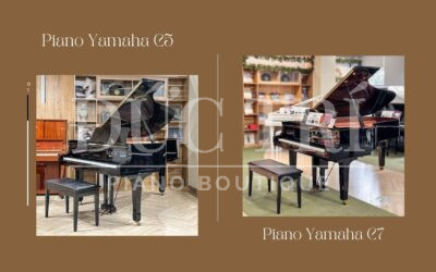 So sánh Yamaha C5 và Yamaha C7, nên chọn đàn nào?