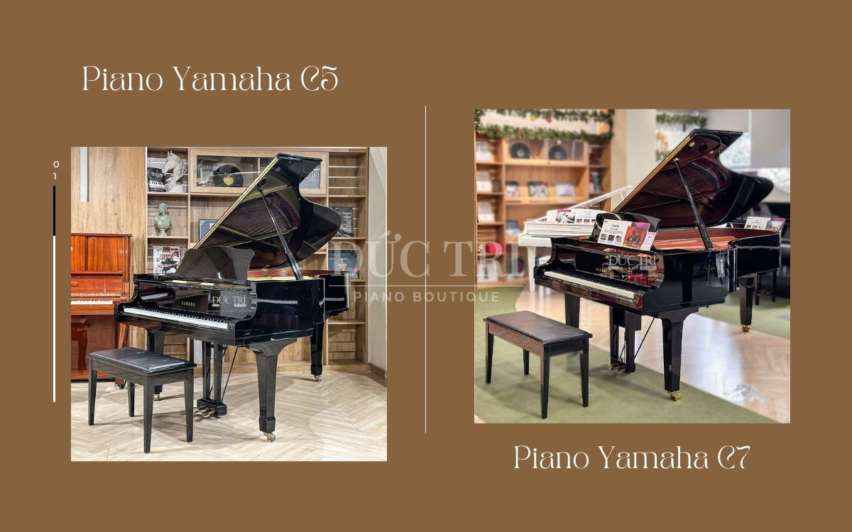So sánh Yamaha C5 và Yamaha C7, nên chọn đàn nào?