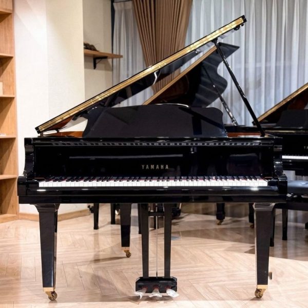 Yamaha GB1K (1)