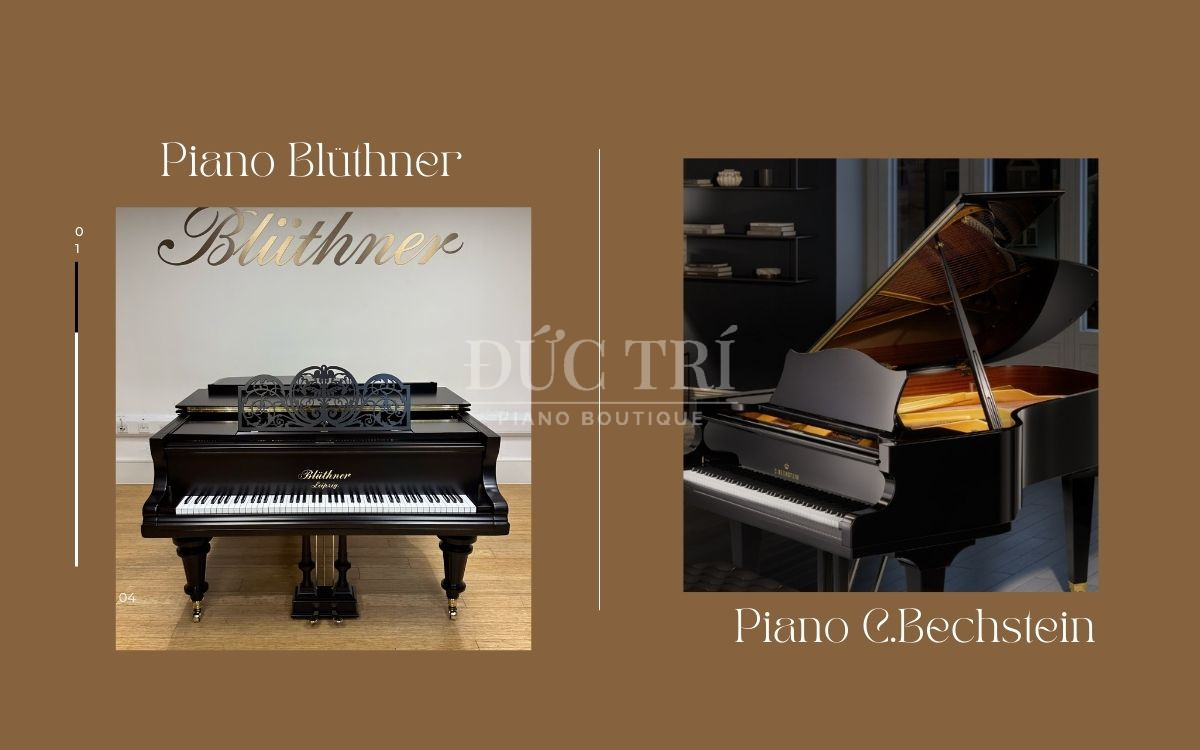 So sánh đàn piano Blüthner và C. Bechstein, nên mua dòng piano nào?